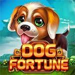 DOG FORTUNE MC