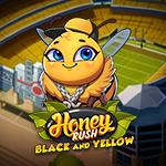 Honey Rush Black and Yellow